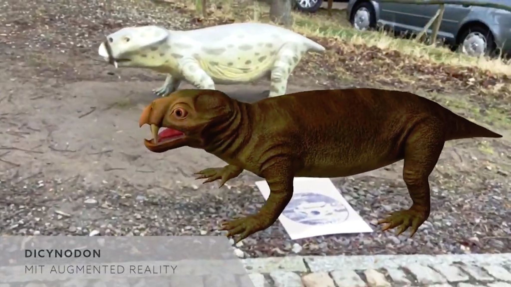 AR Dicocydon on SaurierPfad Saurian in Augmented Reality