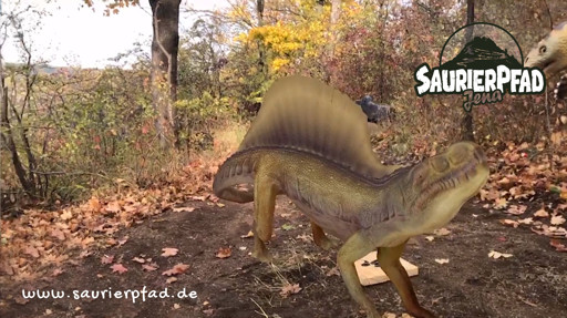NNZ: Ferienzeit - schönste Zeit! Vorschaubild